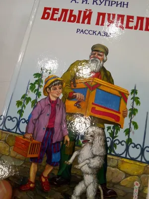 Белый пудель - Куприн А., Купить c быстрой доставкой или самовывозом, ISBN  978-5-517-05088-5 - КомБук (Combook.RU)