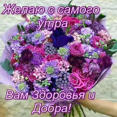 Кутман тан достор❤️❤️❤️ | Instagram