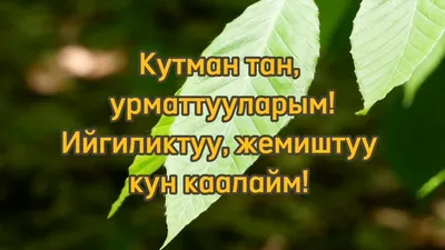 О СЕБЕ - Кутман Тан Досторум! С Добрым утром Друзья! | Facebook