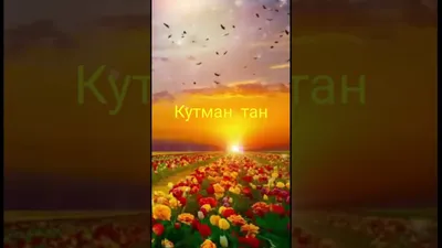 Кутман тан #ишинизге ийгилик,, | TikTok