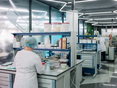 В Новосибирске начала работу лаборатория инновационных продуктов питания –  Агроинвестор