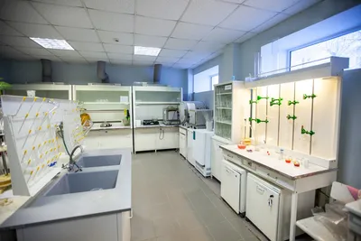 Детская научная лаборатория, игрушки Монтессори, наборы химических  экспериментов, обучающее оборудование для детей | AliExpress