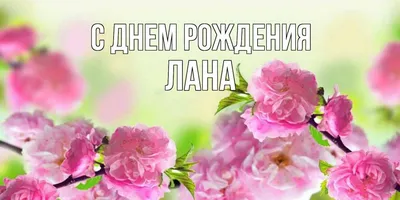 С днём рождения, Лана | Записки многодетной Ведьмы | Дзен