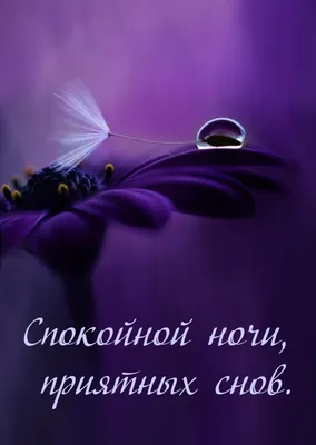 Nl_internetinal - Красивых слов, приятных снов Цветов, цветов, еще  цветов…💐💐💐 Вниманья близких и родных ДА, украшений золотых💍💍💍  Шикарных фраз, горящих глаз Цветов еще, еще не раз💐💐💐 Мужчин, чтоб рядом  кто-то был Не