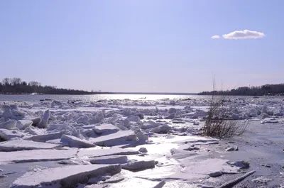 Начался ледоход на реке Печора в районе п. Троицко-Печорск | Комиинформ
