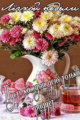 ЛЁГКОЙ НЕДЕЛИ!! 🌺🌷😉💐😘🌿😋🌷🌺 Улыбнись, и весь мир улыбнется тебе в  ответ! 🌞 | Праздничные открытки, Открытки, Милые открытки