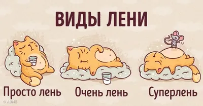 Лень, прокрастинация и усталость: что это такое и нужно ли с этим бороться  ▸ Amur.Life