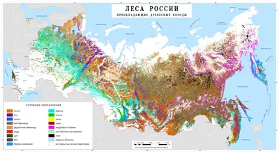 Леса России сверху (51 фото) - 51 фото