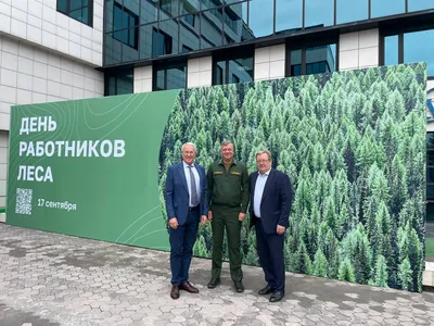 Эксперты рассказали, кто и зачем создает первые частные леса России - KP.RU