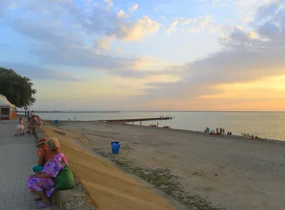 7x5ft Гавайская Вечеринка Летние Пляжные фоны для фотосъемки виниловый  синий море и небо фон пальмы фото фон | AliExpress