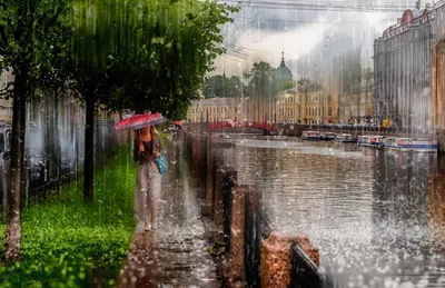 Летний дождь эстетика | Летний дождь, Лето, Эстетика