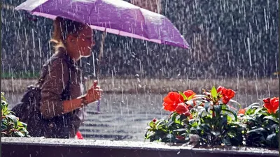 Летний дождь во второй половине дня | Пикабу