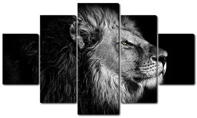 Черно-белый рисунок льва с длинной гривой. | Премиум Фото