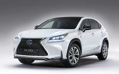 Feel More In Every Moment | Lexus NX | Lexus Europe