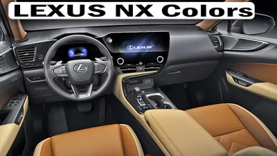 Lexus NX Review 2024 | Top Gear