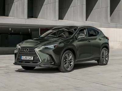 Lexus NX Updated for 2024 Model Year | Lexus Enthusiast