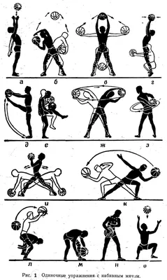 Анатомия стретчинга в картинках: упражнения для всего тела | КОПИЛКА | Дзен