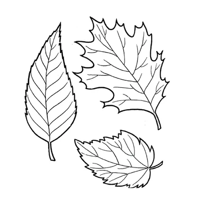 Lenagold - Коллекция фонов - Черно-белые листья