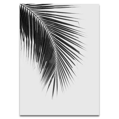 Современное настенное художественное полотно черно-белые Пальмовые Листья  растения лошадь живопись спальня гостиная домашний декор эстетические  плакаты картины | AliExpress