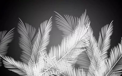 Фотообои Черно-белые тропические листья купить в Оренбурге, Арт. 14-304 в  интернет-магазине, цены в Мастерфресок