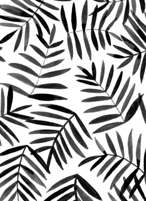 Черно-белые листья 2 виноградины Иллюстрация вектора - иллюстрации  насчитывающей плющ, листья: 109687592