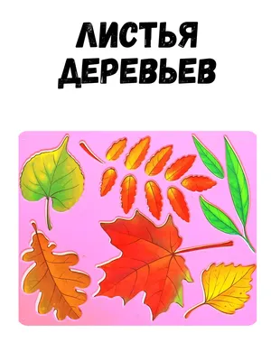 Красивые листья деревьев стоковое изображение. изображение насчитывающей  украшение - 163328701
