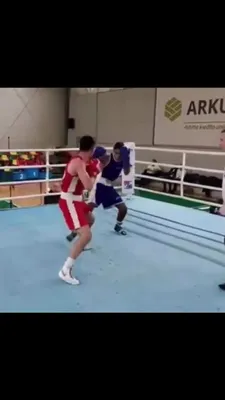 Чемпион мира по боксу из Узбекистана провел спарринг с двумя соперниками  одновременно | Спортивный портал Vesti.kz