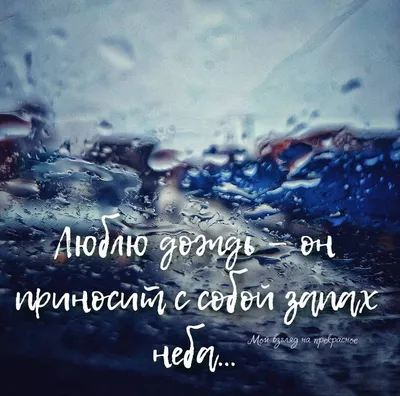 Я люблю дождь, Под которым всё тело пробивает в дрожь. Я любил смотреть в  окно, Каждый.. | Я вижу мир так... | ВКонтакте