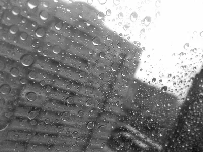Песня «Я люблю дождь» — AGON — Apple Music