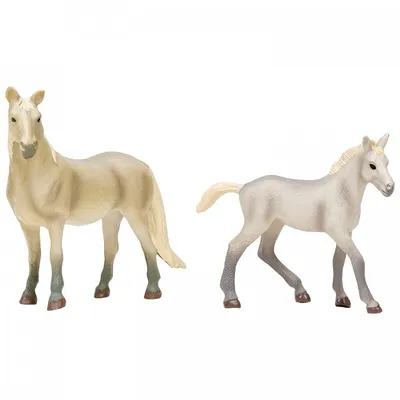 Фризская лошадь, жеребенок и ограждение-загон | Фолиант