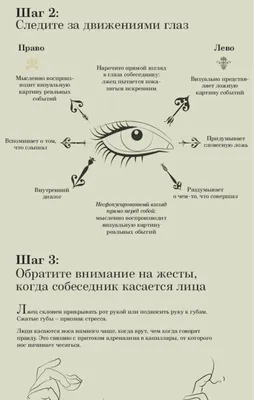 Ложь: Зеленский никогда не был руководителем Украины и не принял ни одного  самостоятельного решения - Delfi RU