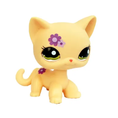 LPS CAT Littlest pet shop, женская короткая шерстяная кошка #1962,  оранжевая кошка с фиолетовым цветком, милые оригинальные игрушки с  бобальной головой | AliExpress