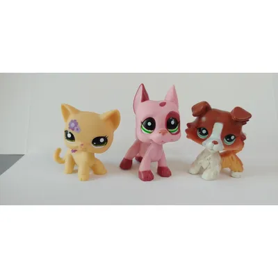 Зверюшка Littlest Pet Shop - Бирманская кошка Birma Bluepoint купить в  интернет-магазине MegaToys24.ru недорого.