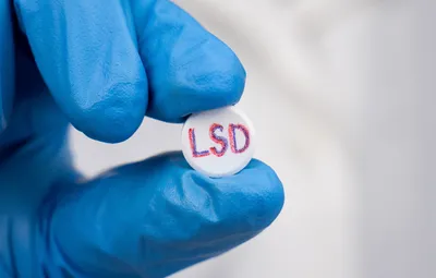 Mouse study reveals a mechanism of LSD on prosocial behavior