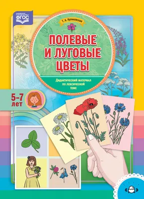 Как нарисовать полевые цветы. Мастер-класс - ДХТД г. Барнаула