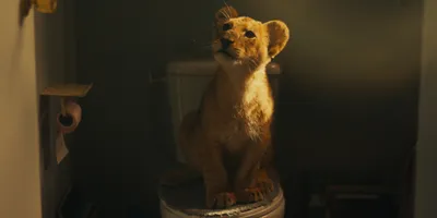 Фильм Король-львенок (Франция, Бельгия, 2022) смотреть онлайн – Афиша-Кино