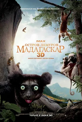 Мадагаскар 2» - трейлер - Кино-Театр.Ру