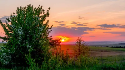 Картинки на рабочий стол весна май на весь экран природа (69 фото) »  Картинки и статусы про окружающий мир вокруг