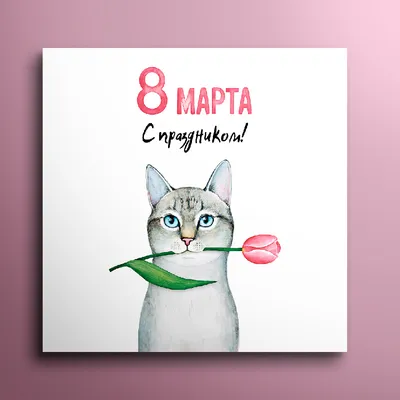 Открытка маленькая 8 марта (кот с тюльпаном) с бесплатной доставкой  курьером в Санкт-Петербурге. Купить Маленькие открытки 50 руб. в подарок к  букету.