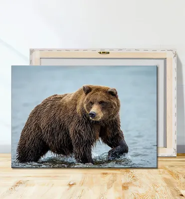 Картина Бурый медведь национальный символ России 17 ЭкоХолст 74807989  купить в интернет-магазине Wildberries