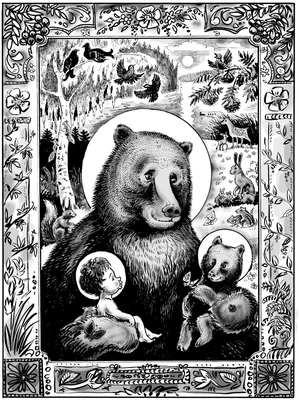Почему медведь - это символ мощи, здоровья, мудрости, богатства и власти -  Экспресс газета