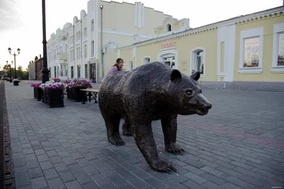 Новым символом российского футбола стал черный медведь Артемия Лебедева