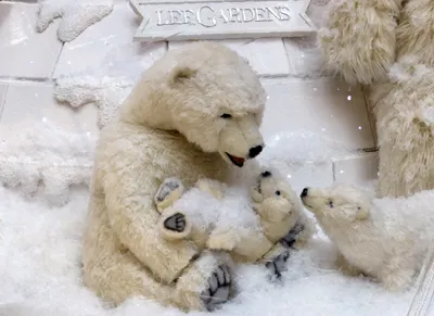 Ученые рассказали, как аномальная зима повлияла на белых медведей Арктики -  Российская газета