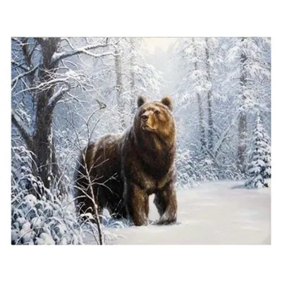 Медведь осенью и зимой - 58 фото