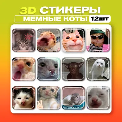 Мемные коты от художницы Сatwheezie - Котизм, №2207111354 | Фотострана –  cайт знакомств, развлечений и игр