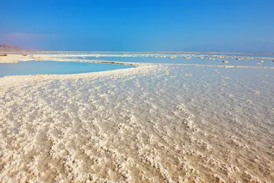 Мертвое море | Mayel