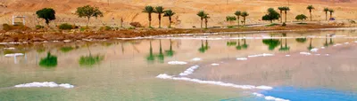 Лечение на Мертвом море, Иордания, Иордания — практические подробности от  «Тонкостей туризма»