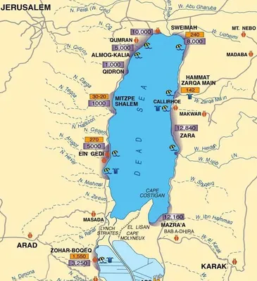 Мертвое море, Израиль, Израиль — лечение, медцентры и санатории Мертвого  моря, Израиль от «Тонкостей туризма»