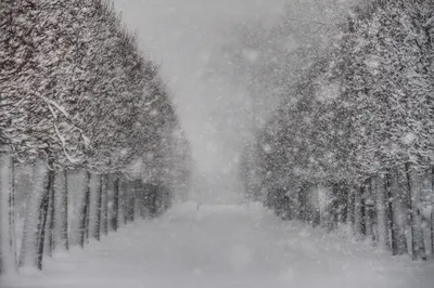 В Гидрометцентре предупредили о «первой зимней» метели в Москве — РБК