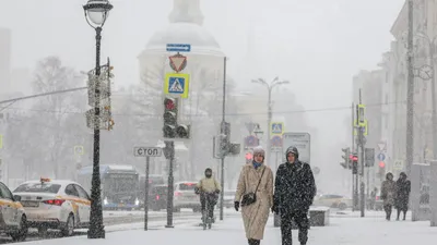 Брянцам 24 ноября пообещали метель и гололед